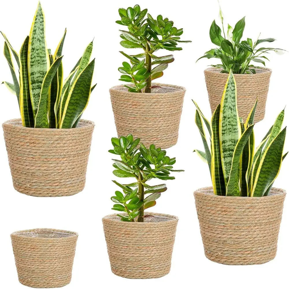 

Mumuy 6 Pcs Seagrass Planter Basket lower Pots Cover Plant Baskets Hand Woven Plant Basket Storage Containers with Plastic Liner