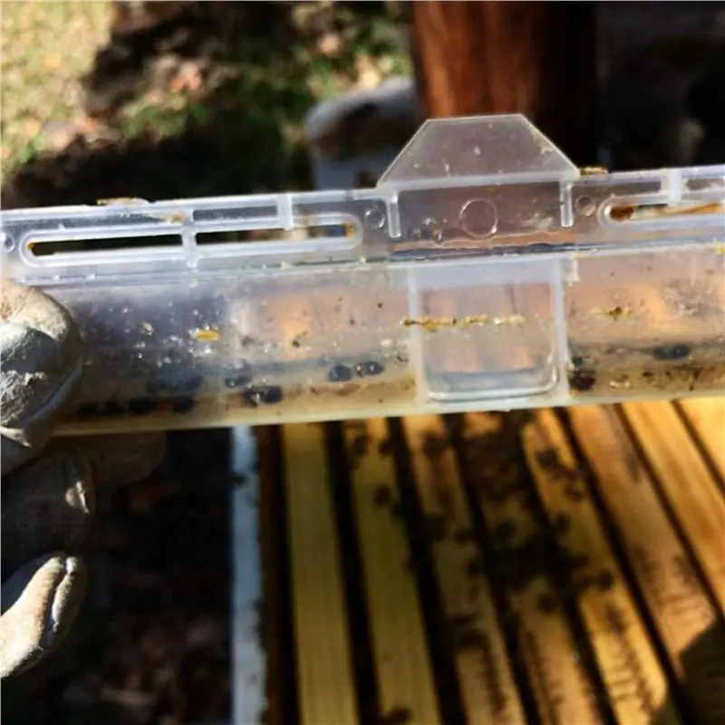 AFOURT-24-teilige Bienenkorb-Käferfalle, Käferfallen für Bienenstöcke, Imkerei-Werkzeuge, Imkereibedarf – Detail 2