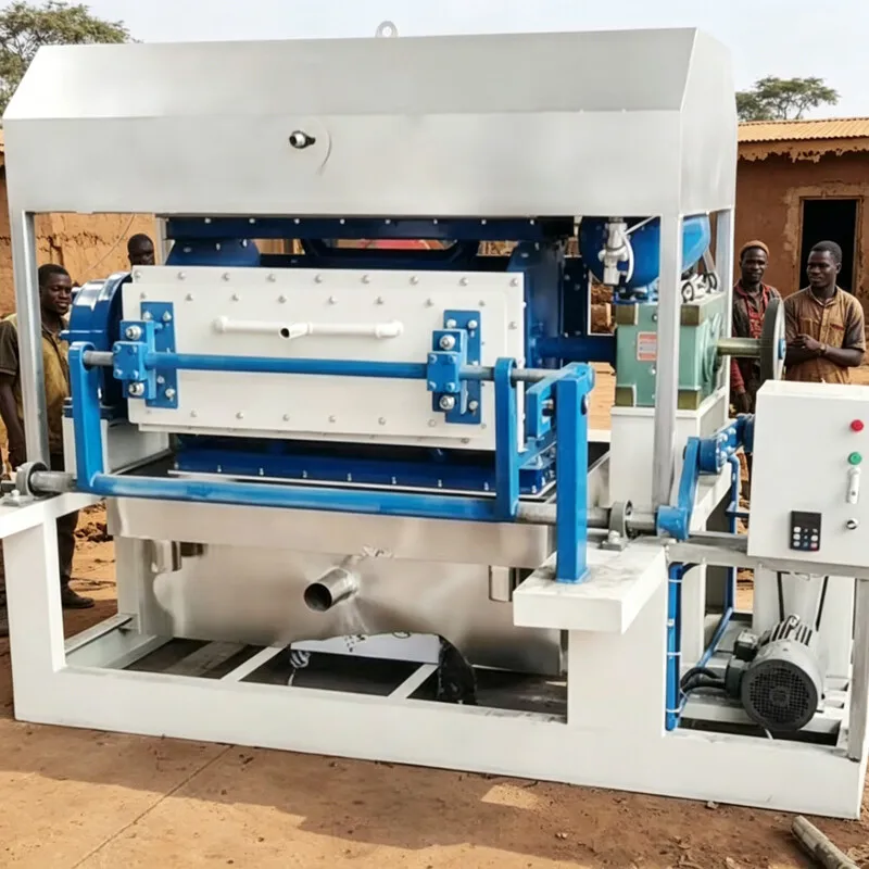 Customized Fully Auto Pulp Molding Machine–Egg Carton Making, Integrated Tray Forming with Dryer, High Efficiency,Best Price, CE