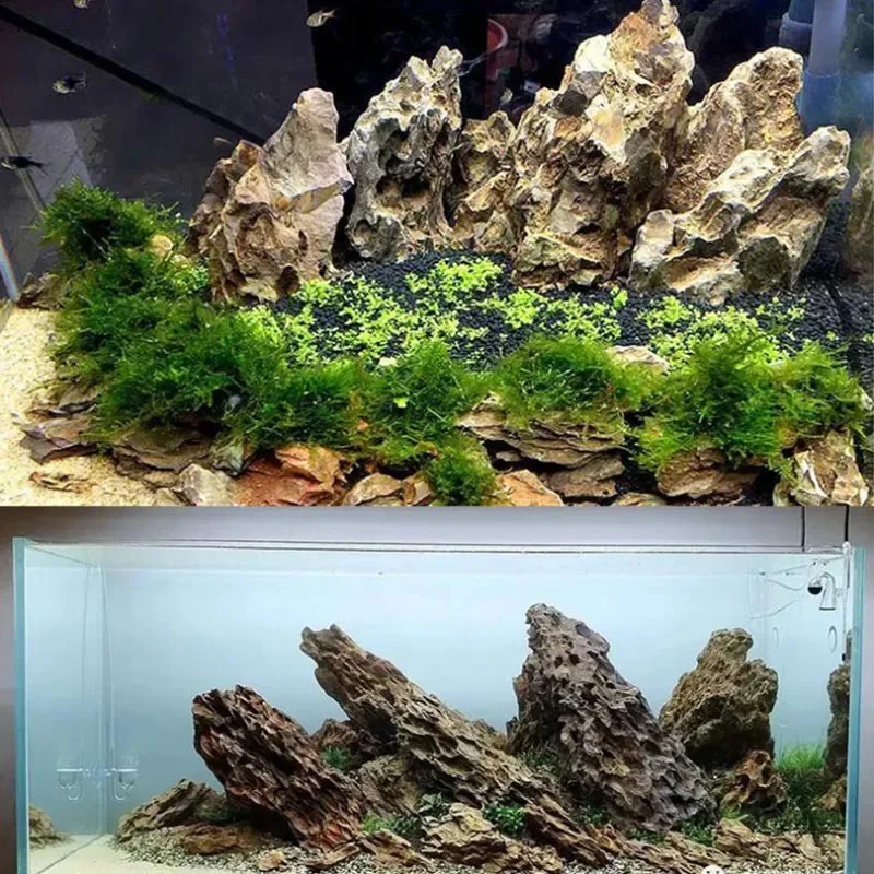 250g 500g 1000g Natural Aquarium Decor Stone Rockery Landscaping Fish Tank Microporous Stone Good for Plants Growth