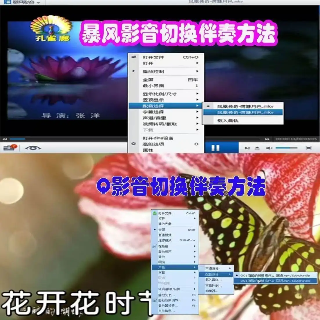 كانتونيا كاريوكي أغنية USB، مرافقة كاريوكي فيديو USB، مسار مزدوج، كاتم صوت MKV
