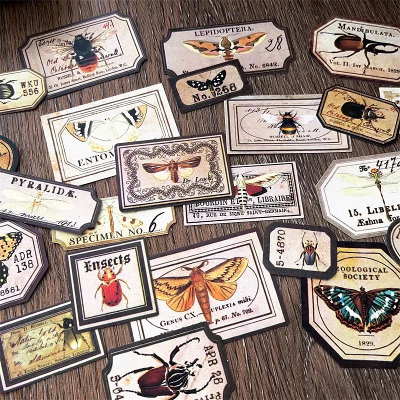 Retro Insect Specimen Label English Sticker butterfly Diary Vintage Decoration Junk Journal material