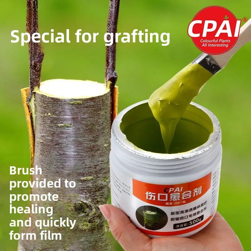 

500g Tree wound healing agent, trunk coating supplement, bonsai bark agent, fruit tree grafting incision repair