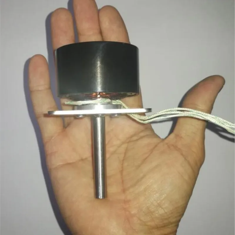 Miniature Three-phase Brushless Permanent Magnet Generator 30 To 60, 100 W Brushless Motor Waterwheel Wind Power 12 V And 24 V