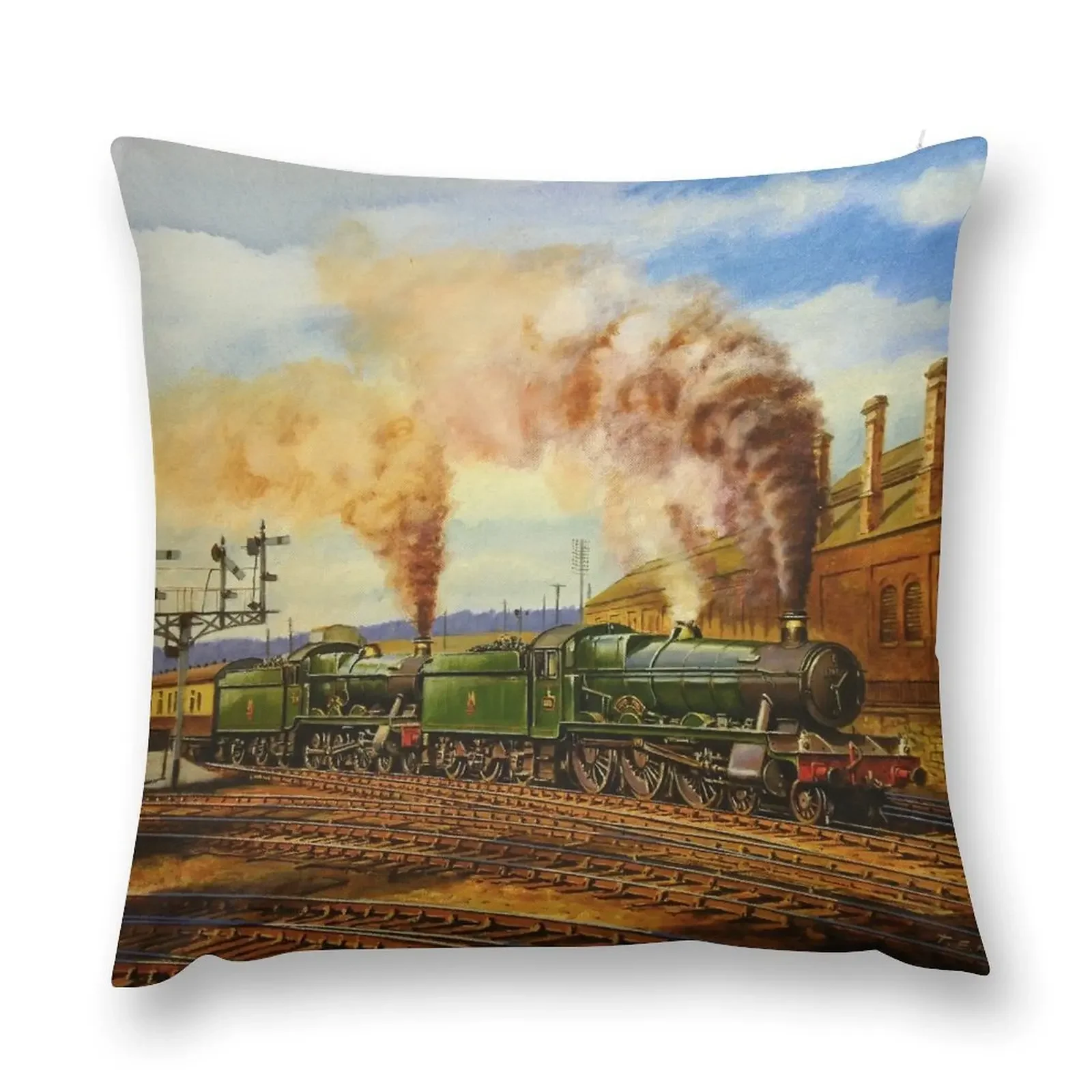 Newton Abbot 1958 Throw Pillow Decorative Cushion Pillowcases Bed Cushions pillow