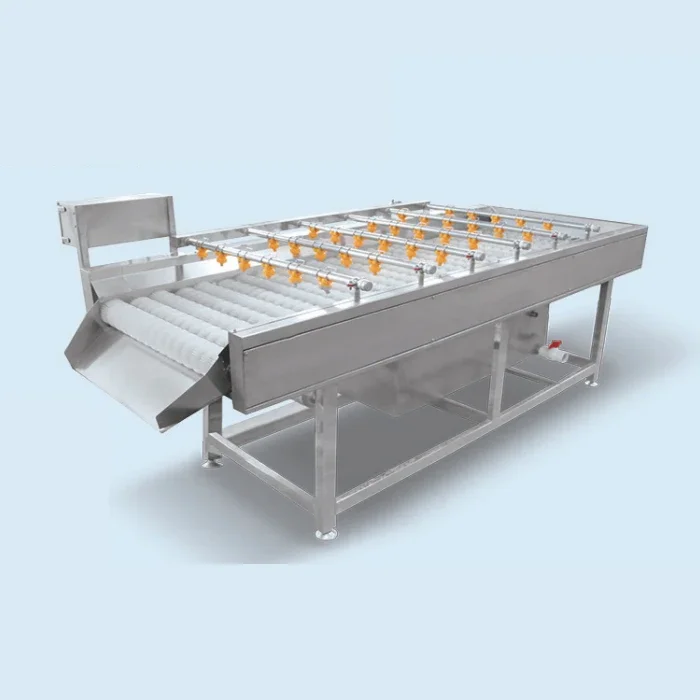 Multi functional automatic commercial fruit and vegetable washing machine