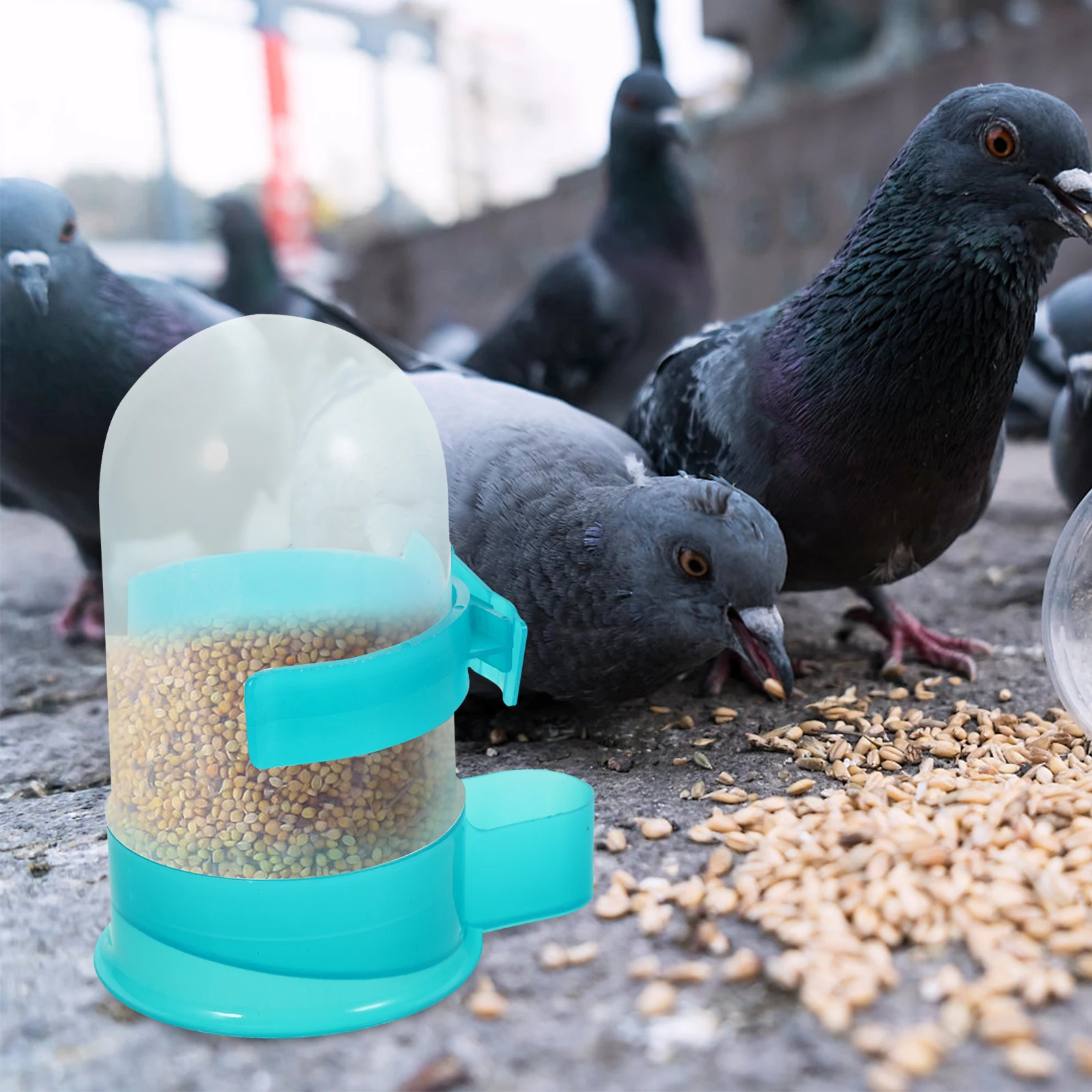 

2pcs Automatic Pet Waterer Durable Lightweight Home Walking Outdoor Pigeon Parrot Water Bowl Kettle Holder Feeding Supplies