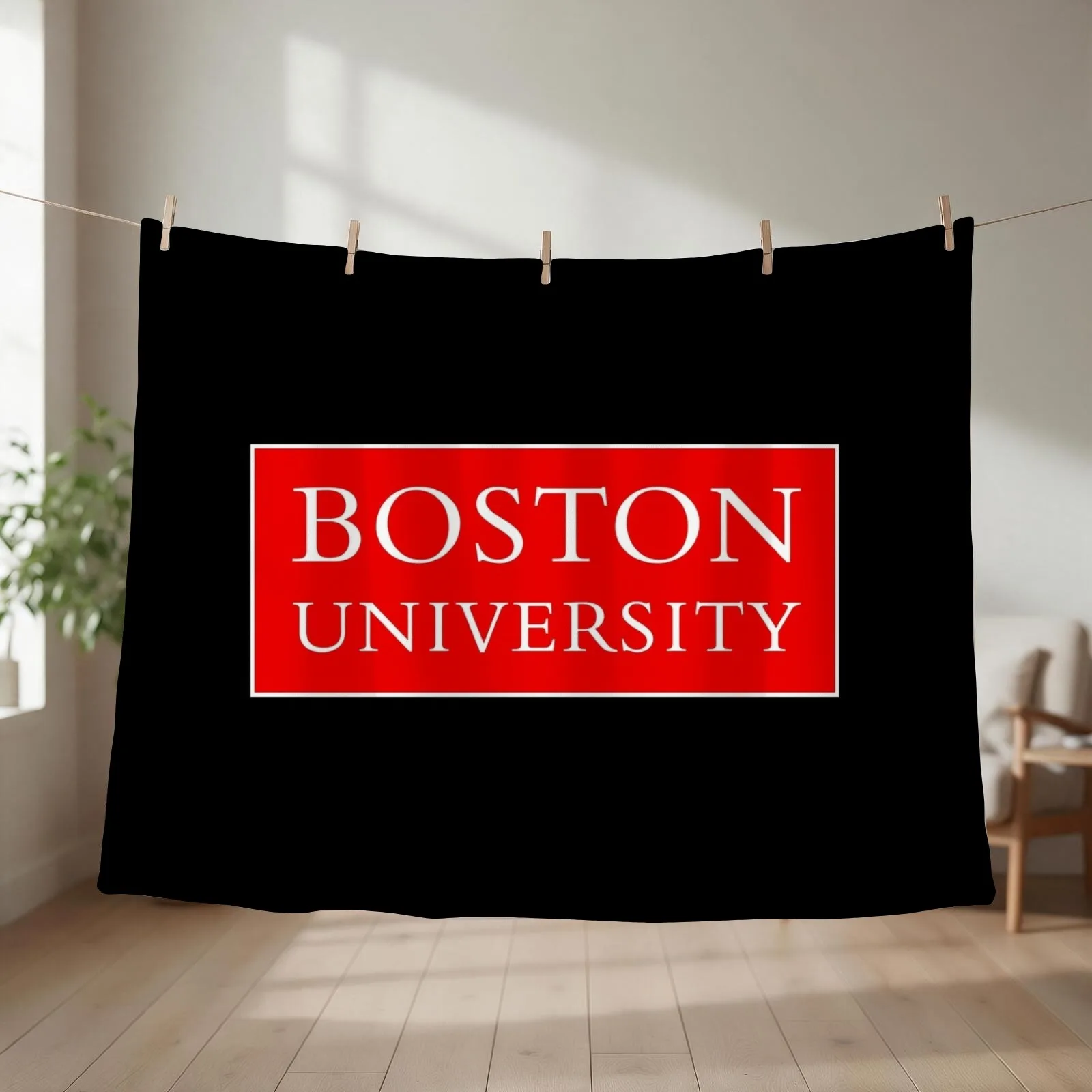 Boston Throw Blanket couch cozy soft plush fuzzy picnic outdoor blanket