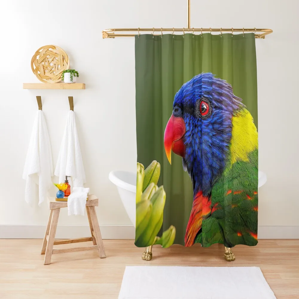 

Australian Rainbow lorikeet Shower Curtain Funny Shower Washable Waterproof Fabric Shower For Bathrooms For Bathroom Curtain