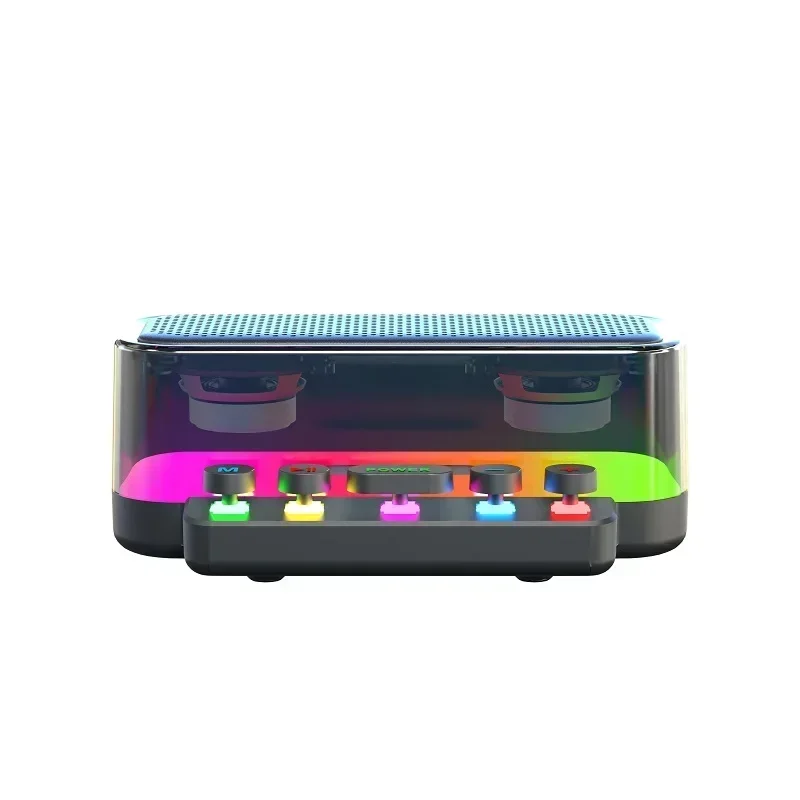 Doppio Wireless Dynamic microfoni altoparlante Home KTV Outdoor Party microfono Wireless portatile per Karaoke portatile con altoparlante