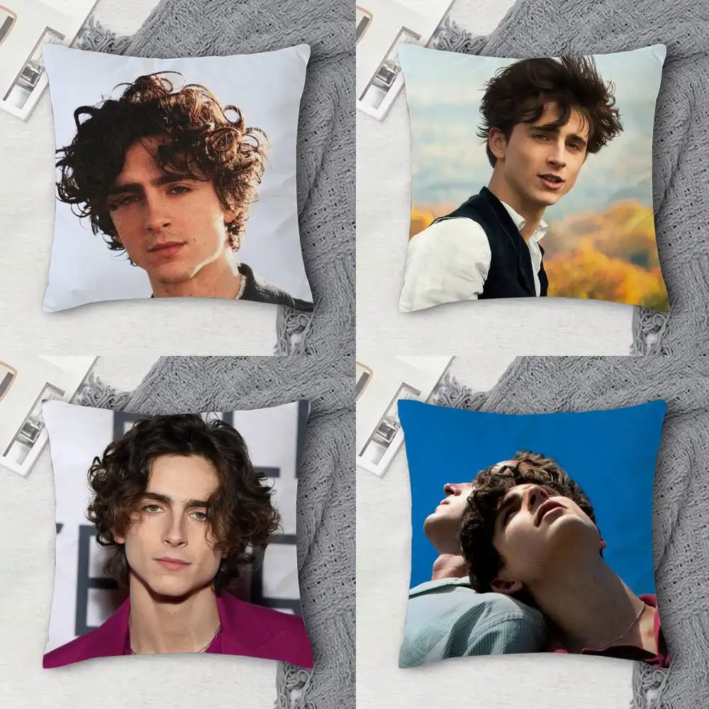 

T-Timothee Chalamet Double-sided Printed Square Decorative Cushion Cover for Sofa Living Room Home Decor