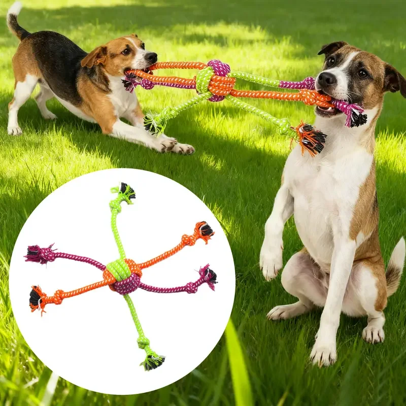 1/2 Stück Langlebiges, bissfestes, interaktives Knotenspielzeug für Hunde – kaubares Seil mit grünen und orangefarbenen Fransen, verspieltes Design, Hundespielzeug