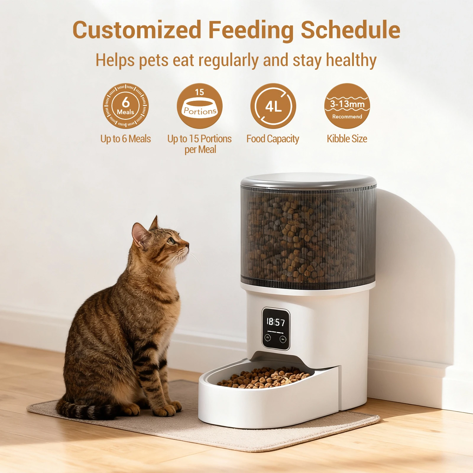 Thumbnail 2 - #10 Best Cat Feeding Dispensers to Buy In 2026