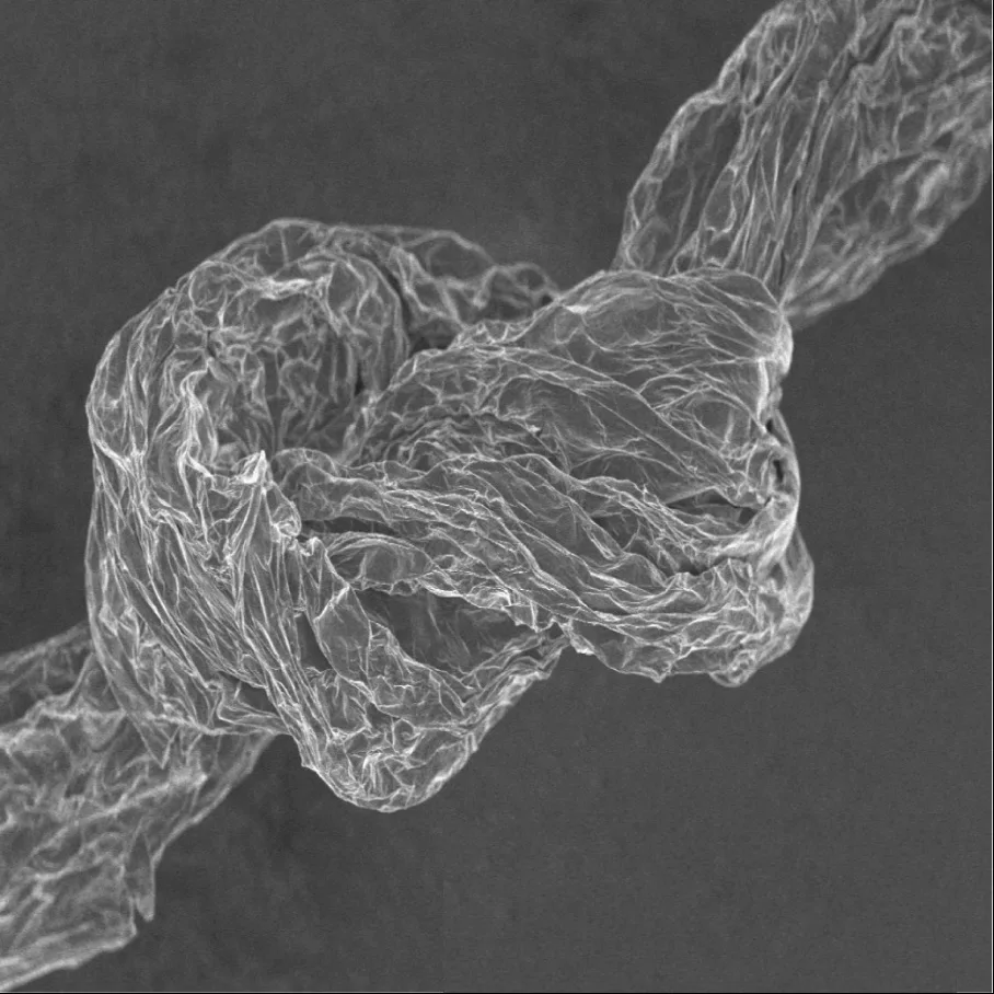 Graphene-based carbon fiber: Graphene-based carbon fiber