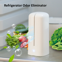 Portable Mini Ozone Air Purifier - Usb Rechargeable, Odor Eliminator For Refrigerators, Cars & Closets, Blue Light Indicator