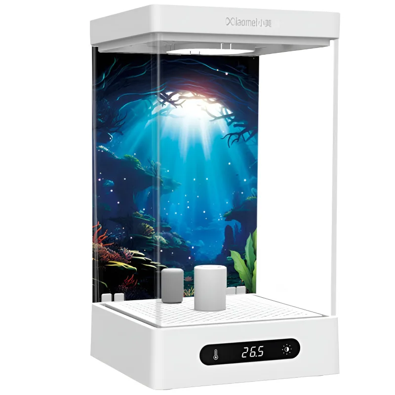 betta-fish-tank-self-cycling-ecosystem-heating-full-ing-office-desk-aquascape