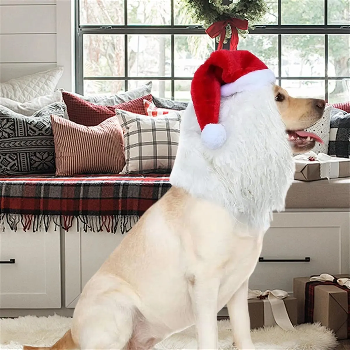 Cat Dog Christmas Santa Hat Funny Cute Santa Hat Pet Costume for Winter Days Night Family Friends Youth Teens Girl Boy B