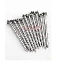 Clavos para carpintería de acero inoxidable 304, clavos redondos, clavos para pared de cemento, tornillo de hormigón pequeño alargado de 0,5/0,8-6,0 pulgadas