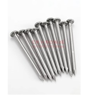 304 Stainless Steel Woodworking Nails Round Nails Cement Wall Nails Lengthened Small Concrete Screw 0.5/0.8-6.0 Inch