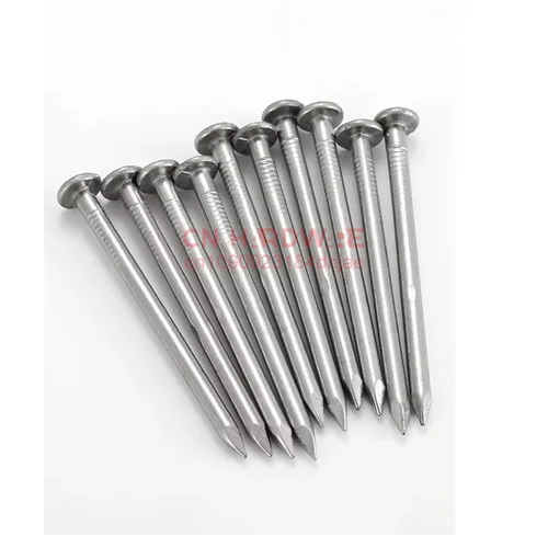 Imagen 1 del producto Clavos para carpintería de acero inoxidable 304, clavos redondos, clavos para pared de cemento, tornillo de hormigón pequeño alargado de 0,5/0,8-6,0 pulgadas