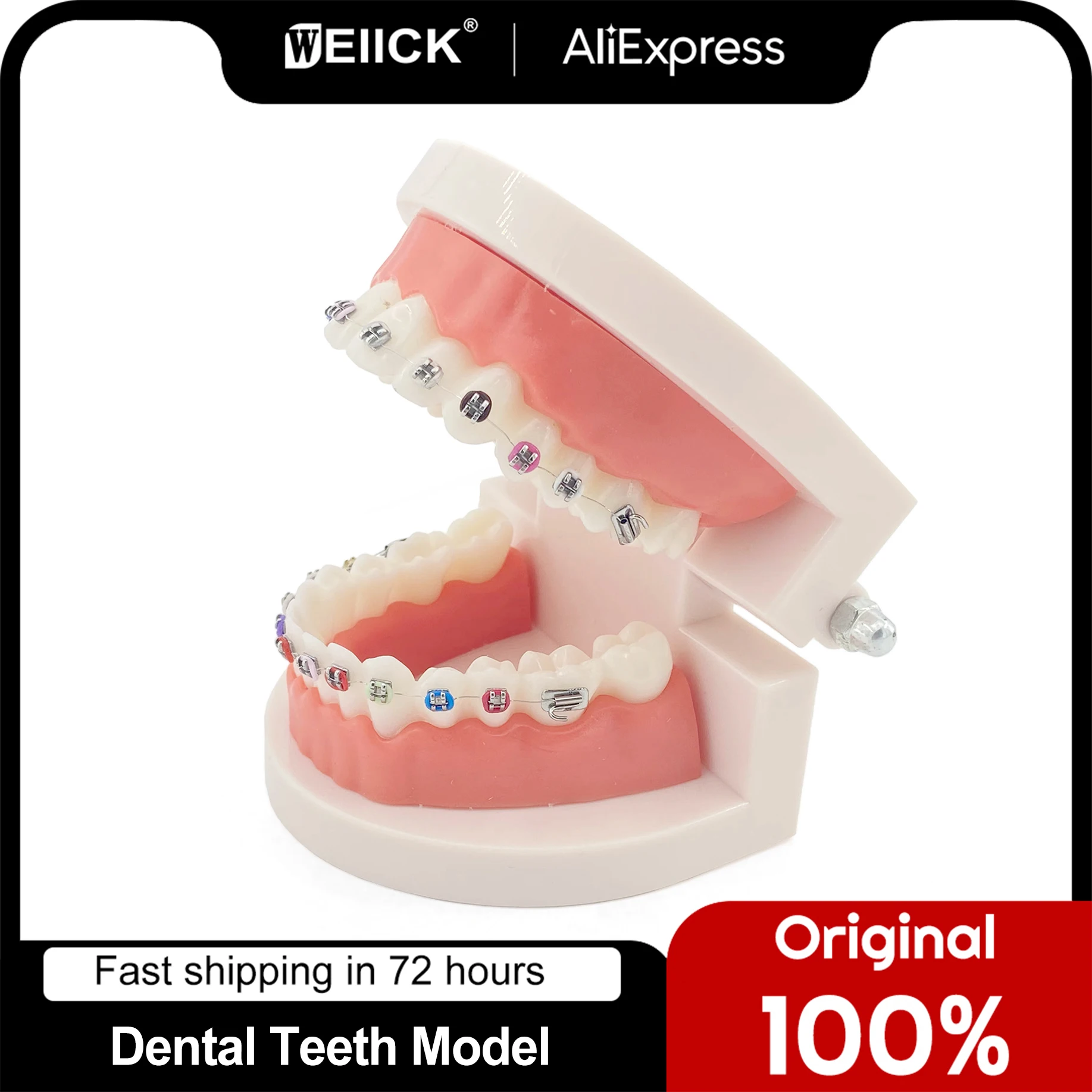 

WellCK Dental Orthodontic Treatment Model With Ortho Metal Bracket Arch Wire Buccal Tube Ligature Ties Teeth Model Tooth Model