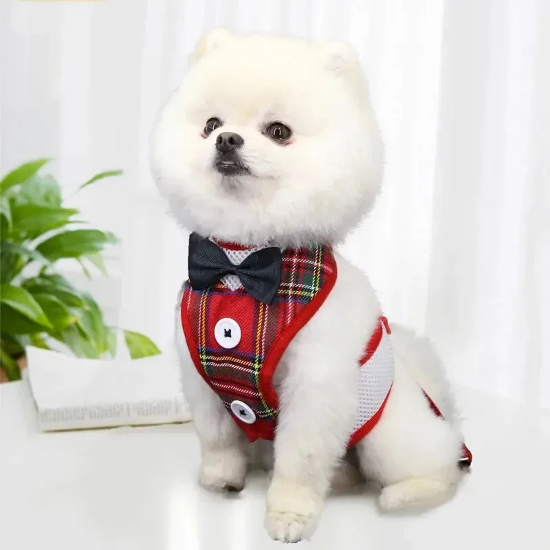 Thumbnail 4 - #64 Latest Puppy Harnesses Offers