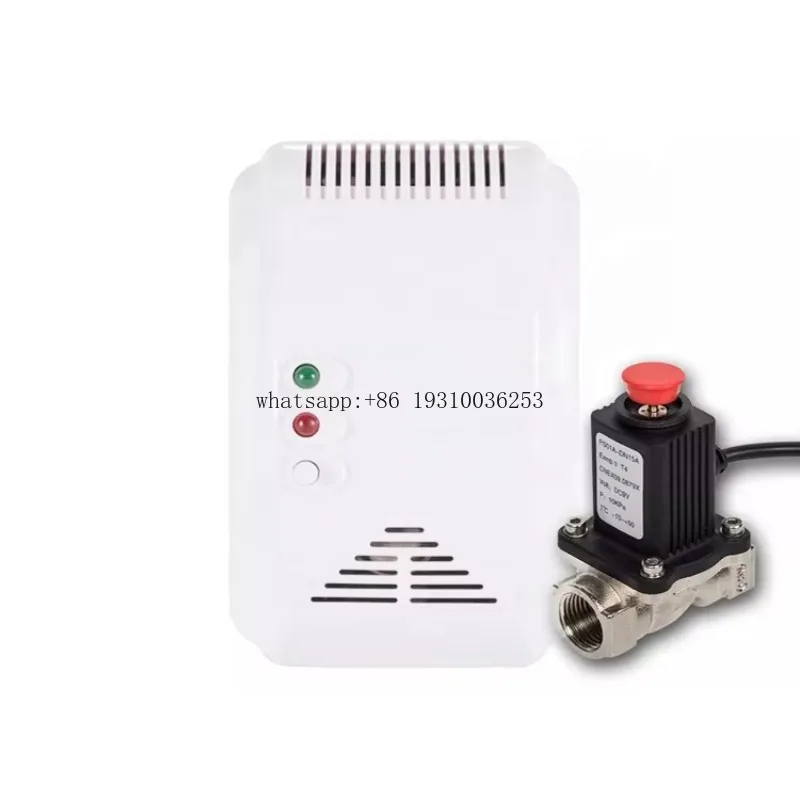 

Household AC220V Natural LPG LNG Combustible Leak Detector With EU Or 3 Pin Plug