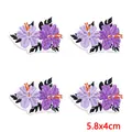 PE17024CT