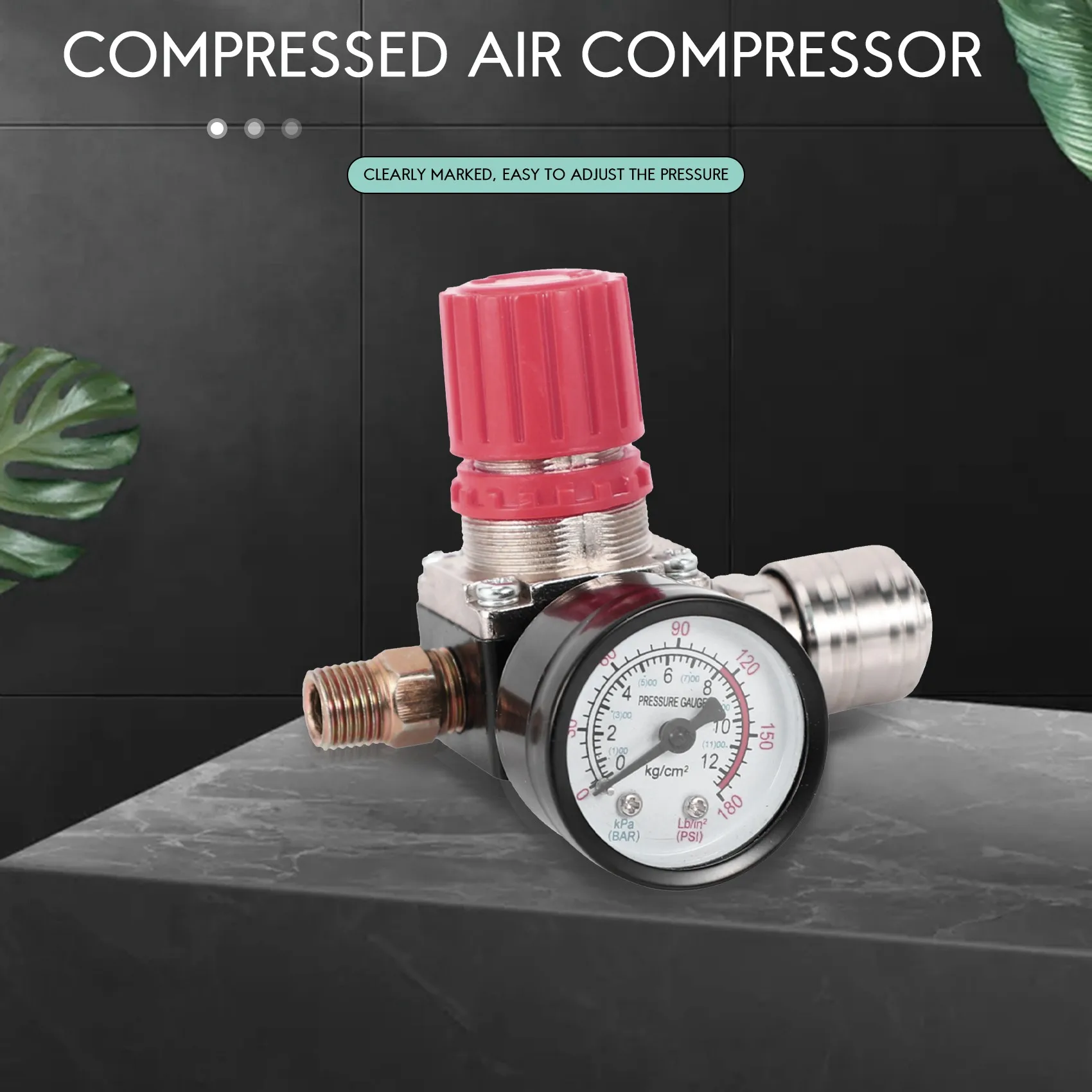 AEE4-1/4 Inch Pressure Reducer, EU Standard Pressure Regulator