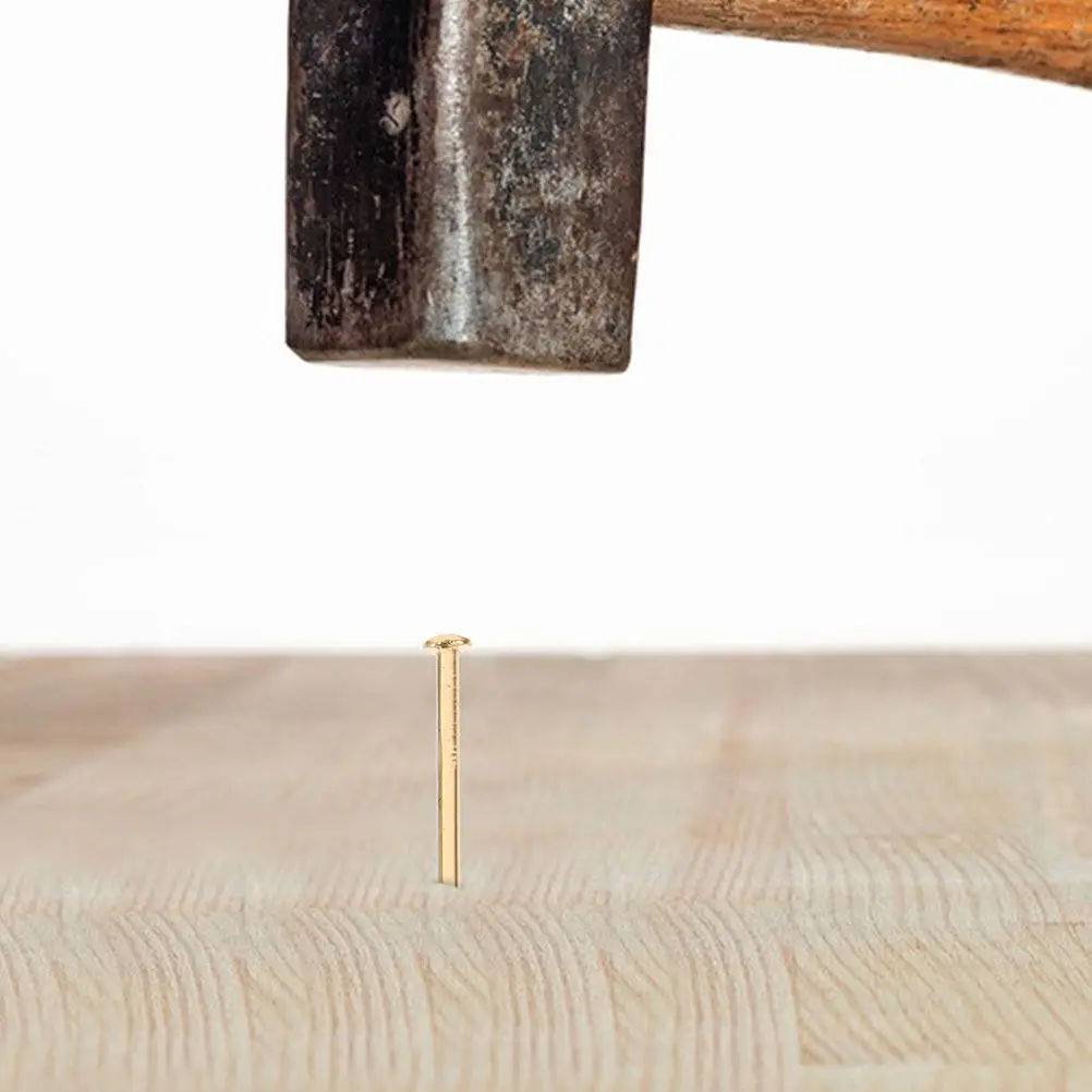 200Pcs Copper Round Head Nails Sharp Strong Furniture Fixing Nails for Hanging Photos DIY Crafts Home Furniture Repair