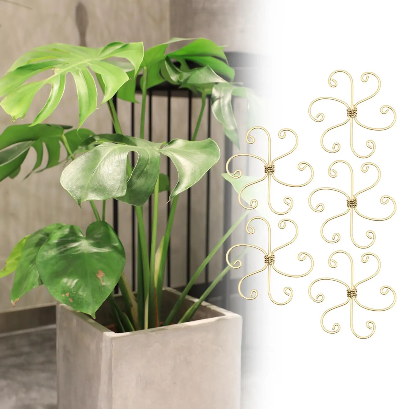 5 قطع من جذع النبات يدعم ملحقات جذع متسلقي النباتات