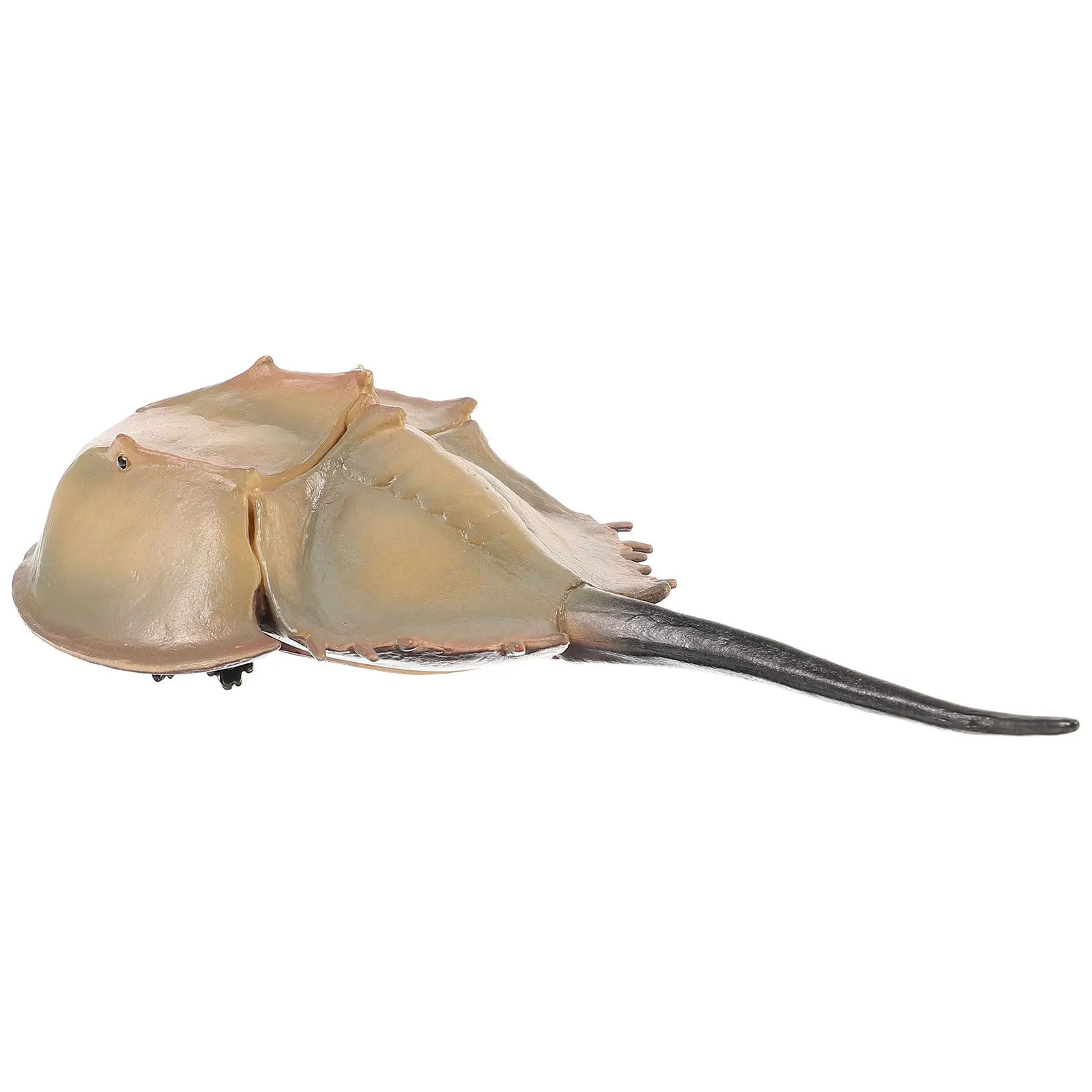 

Realistic Artificial Limuloid Fish Lifelike Sea Animal Decor for Cabinet Display Aquarium Photography Prop Fake Fish