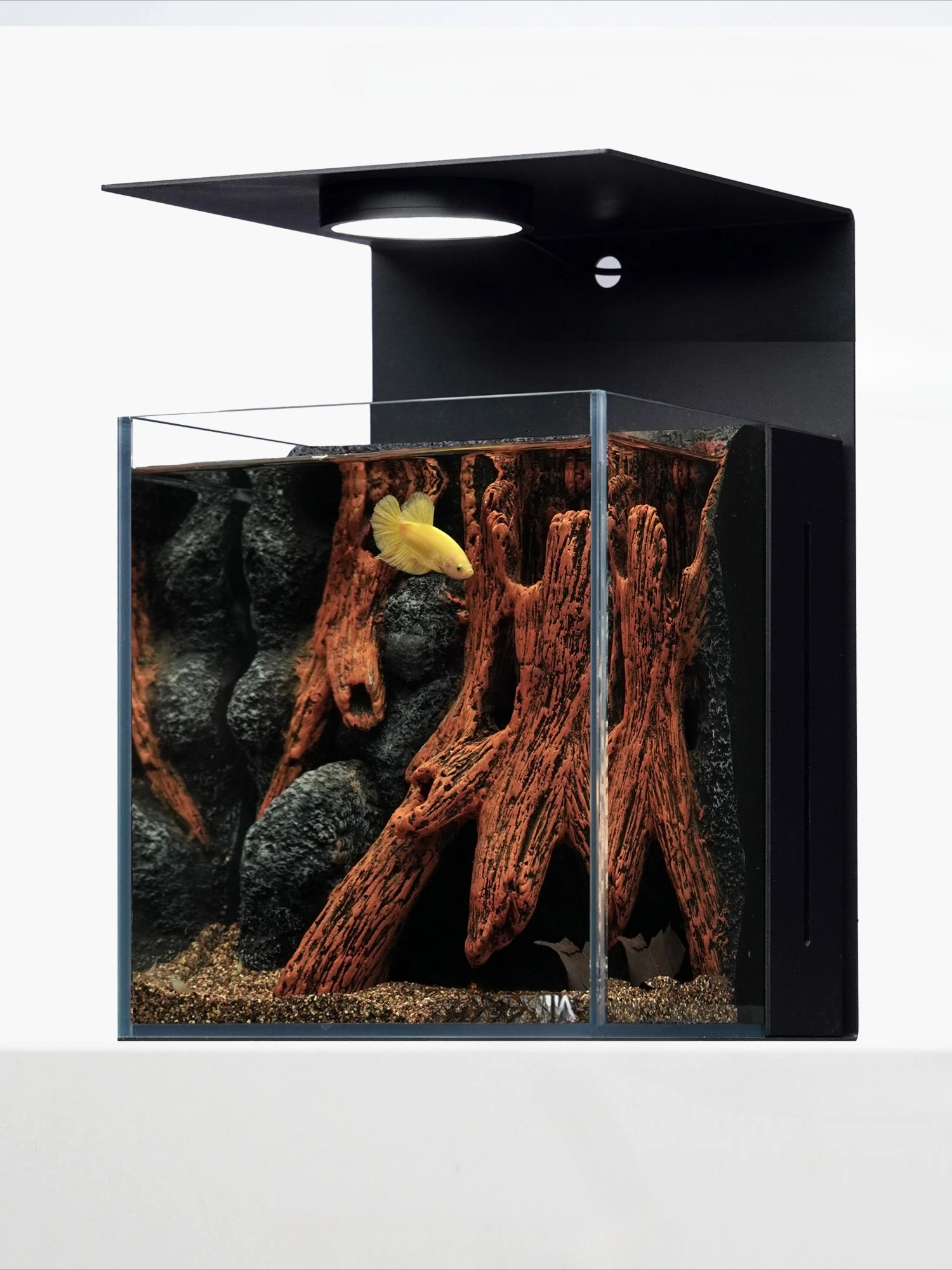 Hidden tree hole desktop micro landscape ecological Douyu tank high-end landscaping glass tank