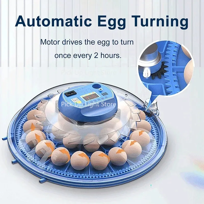 

8 Eggs Electric High Quality Intelligent Automatic Egg Turning 50Hz Frequency Mini Household Eggs