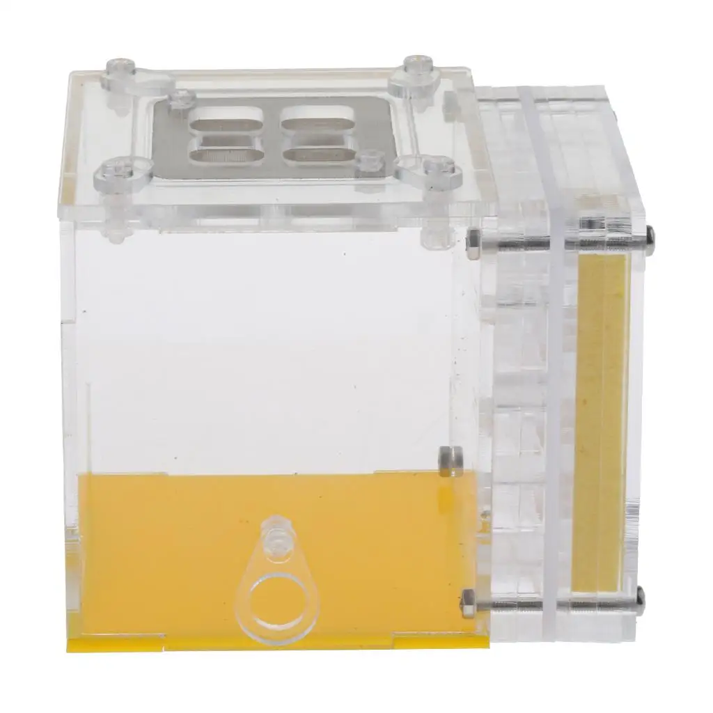 Plastic Ant Breeding Box Transparent Formicarium Cage Ant Feeding Nest for Science Study