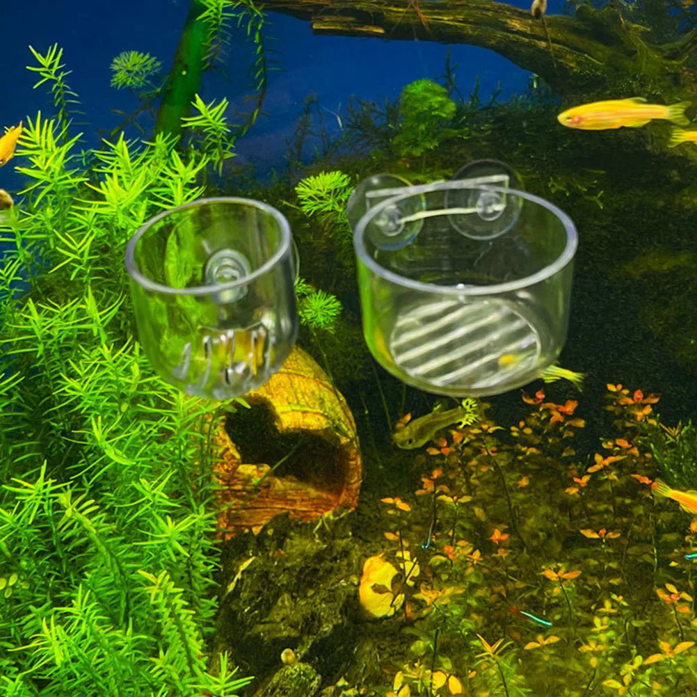 

Multi-Function Acrylic Feeder Smooth Surface Easy Install Clean Aquarium Supply Fish Food Dish Fish Tank Feeder