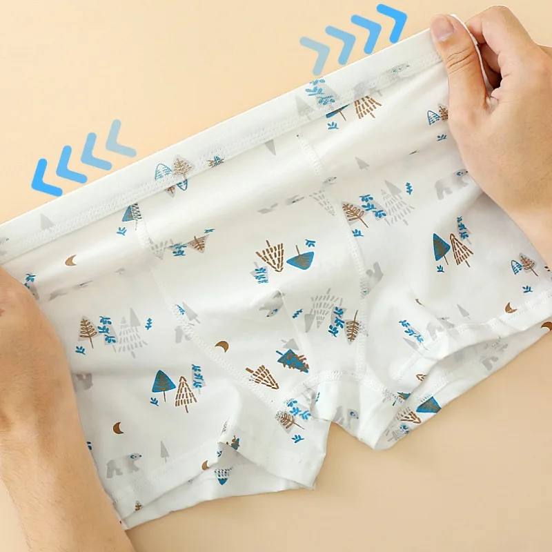4PCS Kid Cotton Antibacterial Panties for Boy Thin Soft Breathable Knickers Baby Cartoon Print Briefs 3+y Young Child Underwears image 2