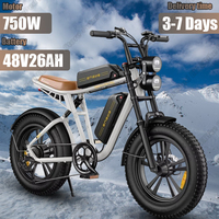 ENGWE M20 E-bike 750W Brushless Motor 48V26AH Dual Battery Snow Electric Bicycle 20*4.0 Inch Fat Tire Mountain Electric Bike