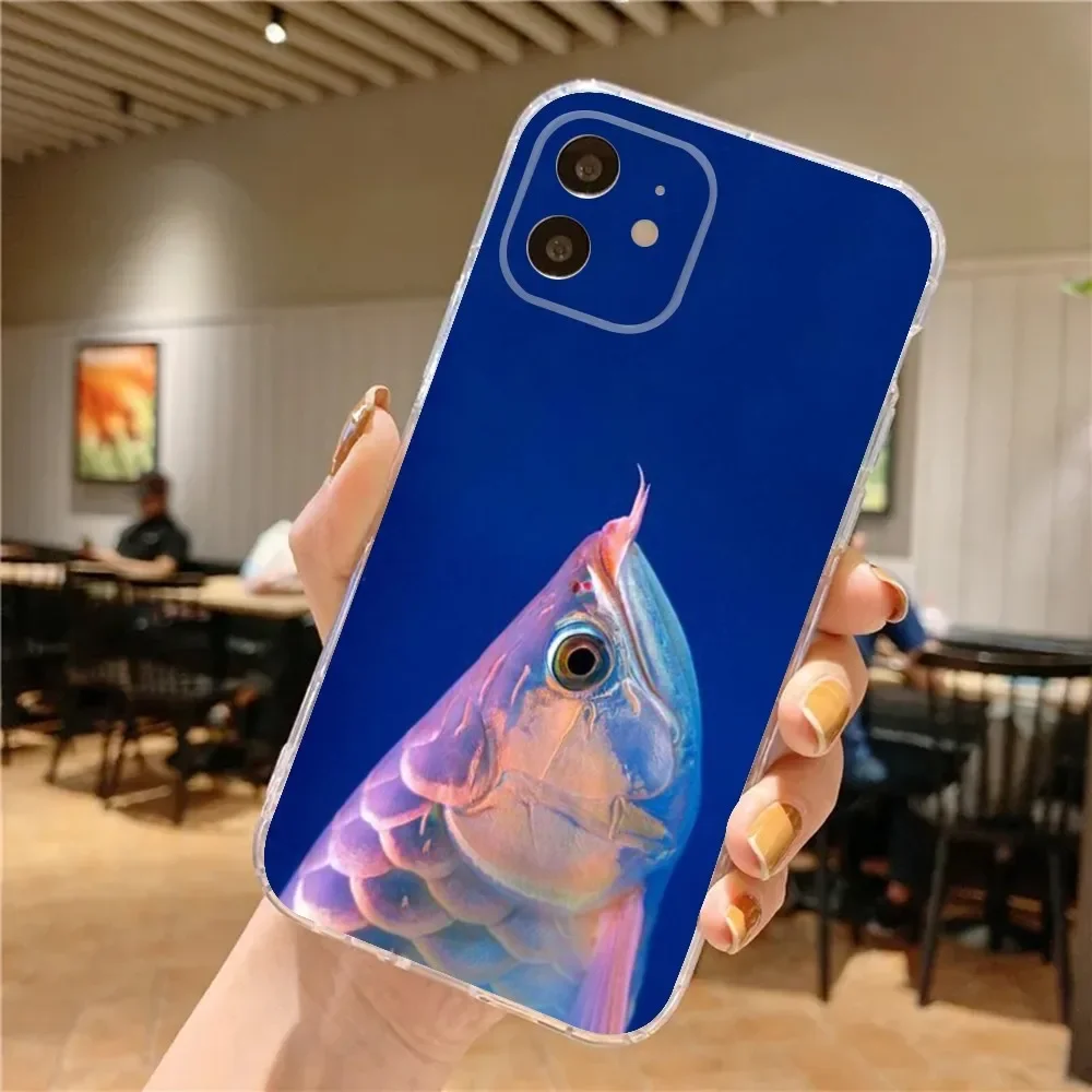 Custodia per telefono con sardine divertenti per iPhone 16 15 14 13 12 11 Pro Max Mini X XS SE 7 8 Plus 16E Cover morbida in silicone antiscivolo antiurto