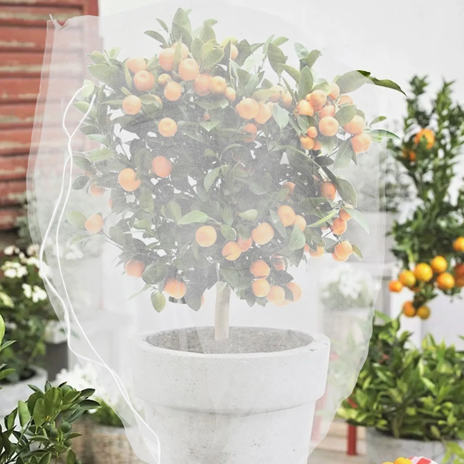 8Pcs Plant Netting Bags Fine Mesh Drawstring Zipper Closure Bird Insect Barrier Garden Protection Covers Garden Bug Netting