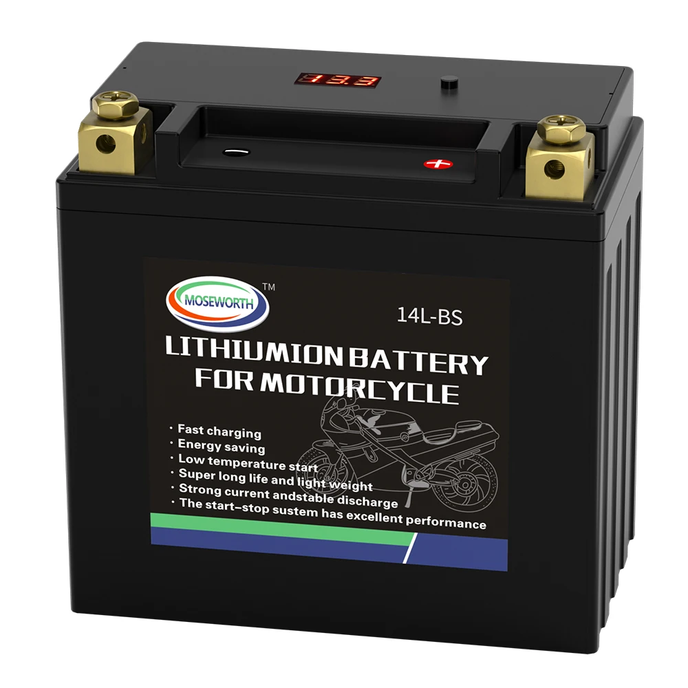 14L-BS 12V LiFePO4 Lithium Motorcycle Battery 9Ah 520CCA Starter Battery Built in BMS Rechargeable ATV UTV Scooter Batteries