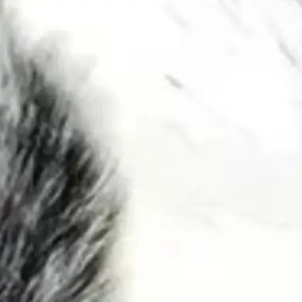 

1 шт. пенопластовый ветрозащитный чехол для записывающего устройства Zoom H5 H6-пушистый муфельный аксессуар для микрофона на ветровом стекле