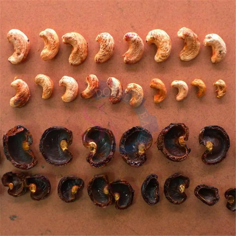 Prezzo all'ingrosso Macchina per la rimozione manuale della pelle di anacardi a mano piccola commerciale economica / Attrezzatura per sbucciare la rottura dell'anacardi a mano