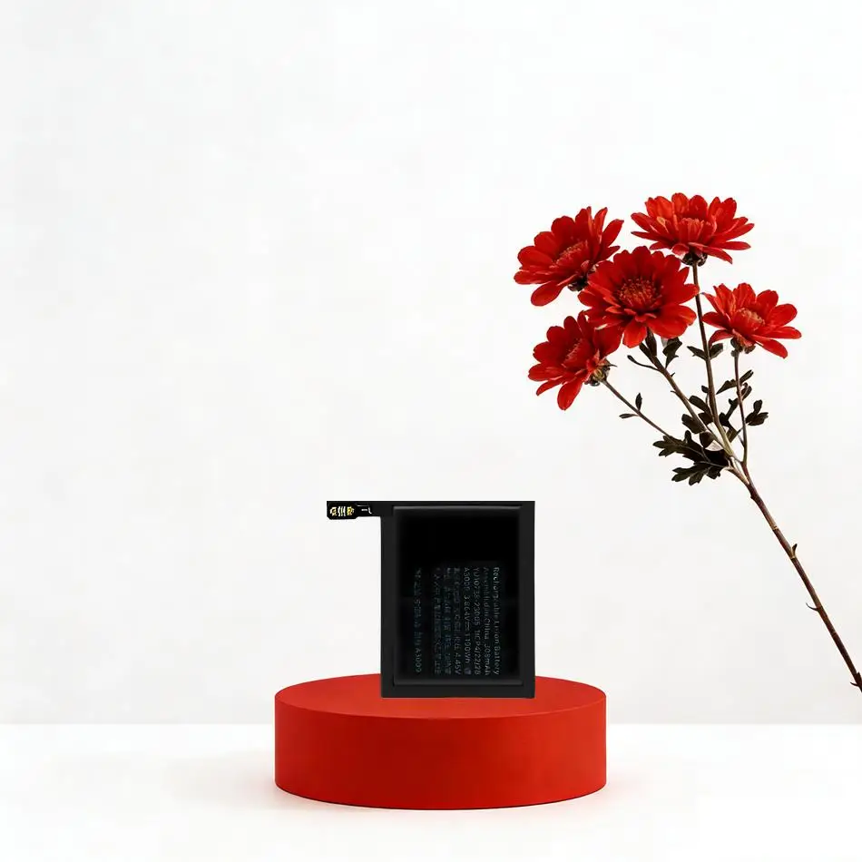 Safe Watch Battery …