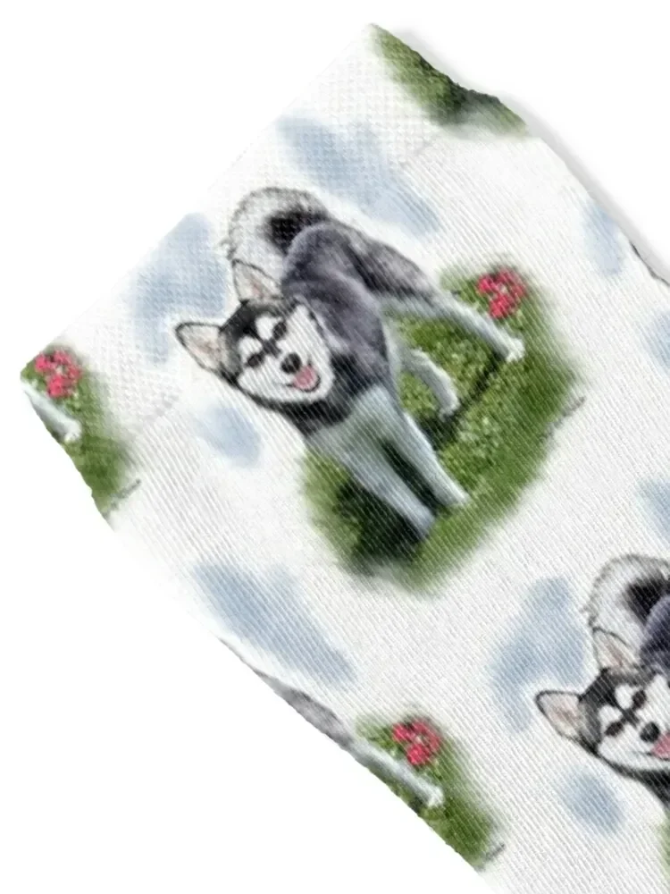 Alaskan Klee Kai Dog Lovers Art Socks cute sheer Rugby Toe sports Socks Woman Men's