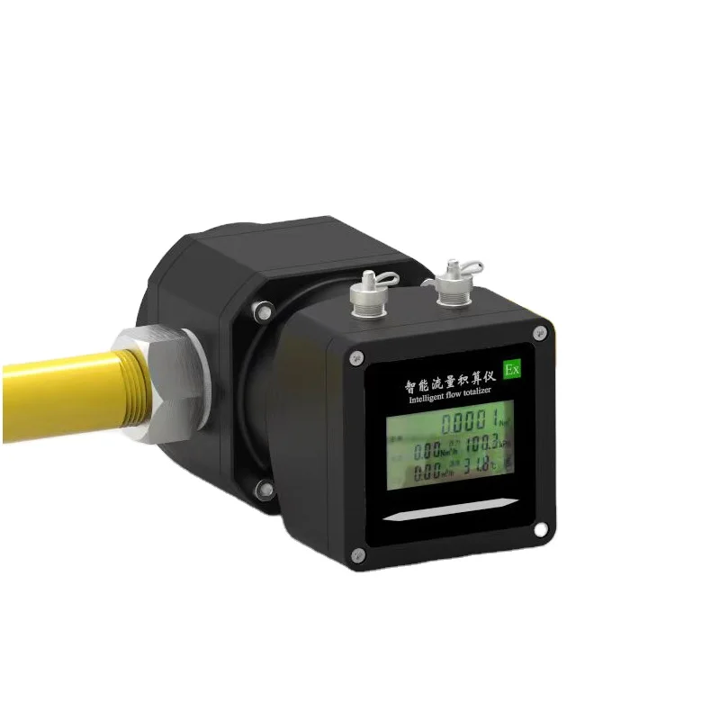 

RS-485 Smart Gas Flowmeter Digital Inline Paddle Waist Wheel for LPG Natural Gas Methane OEM Customizable Root Meter