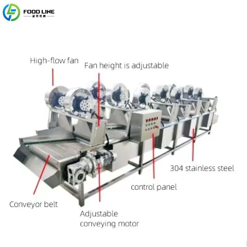 Customized Mobile Fruit Vegetable Drying Conveyor Belt Stainless Steel Strong Wind Air Drying Commercial Equipment