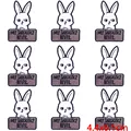PE6083CT