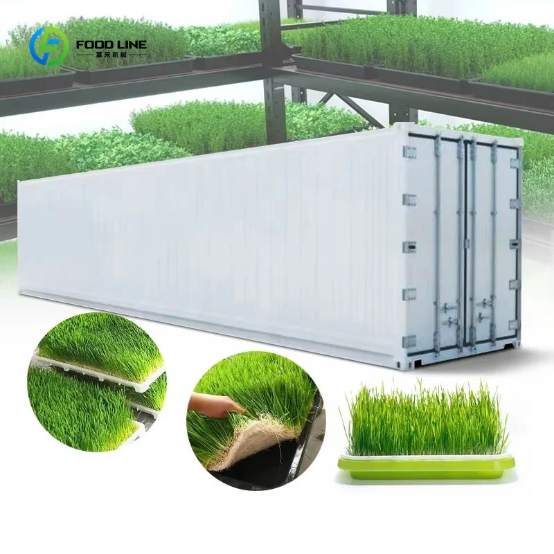 Commercial Alfalfa Wheat Sprout Fodder Growing Machine Hydroponic Seedling System for Cattle Feed Production Customized