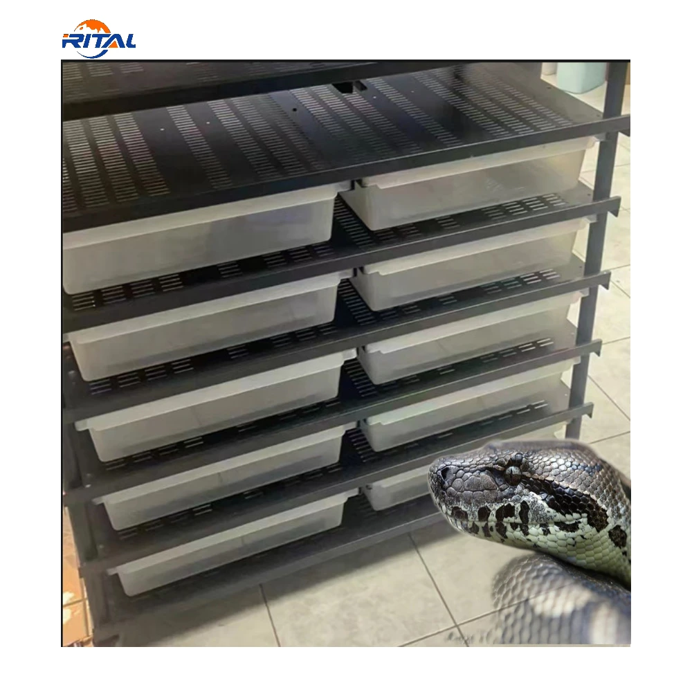 

Лидер продаж, металлическая стойка для разведения змей, стойка для рептилий с клетками